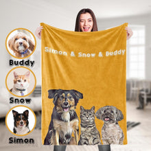 将图片加载到图库查看器，Pet Blanket(宠物毯子)
