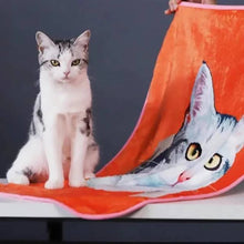 将图片加载到图库查看器，Pet Blanket(宠物毯子)(新增礼盒弹窗)
