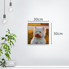 Load image into Gallery viewer, MM-传图钻石画CZSH001-CZSH007
